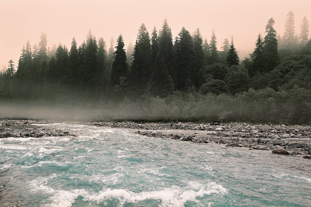 Форель на завтрак