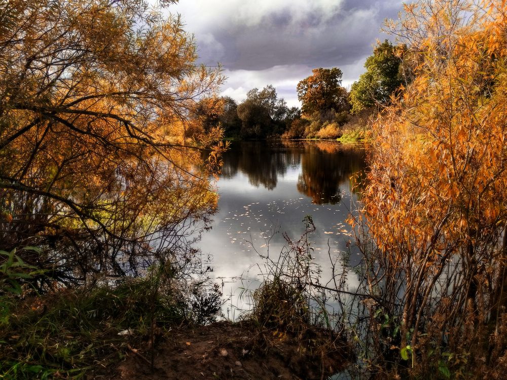 Новгородчина