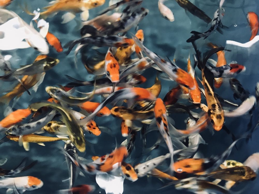 Photograph by Евгения