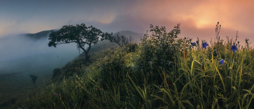 Сказки утреннего тумана.