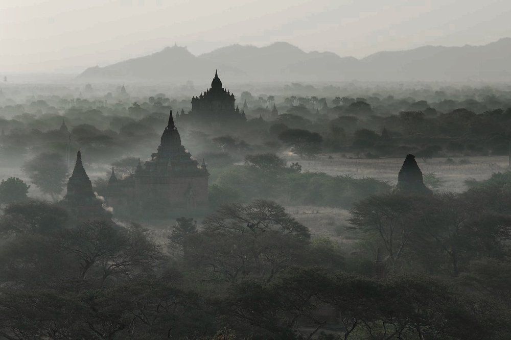 ЗЕЛЕНЫЕ ТУМАНЫ МЬЯМНЫ