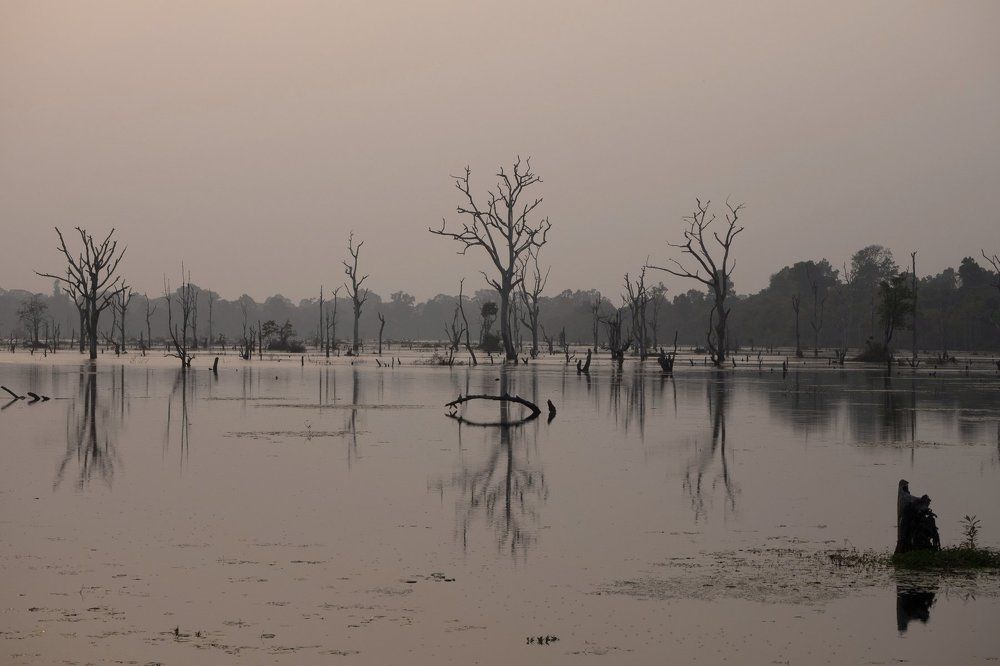 Photograph by Риэр Алла