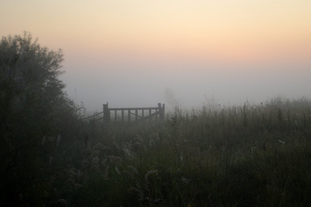 Тайна утра.