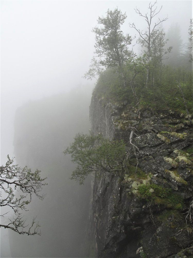 Туман в Норвегии - обычное явление