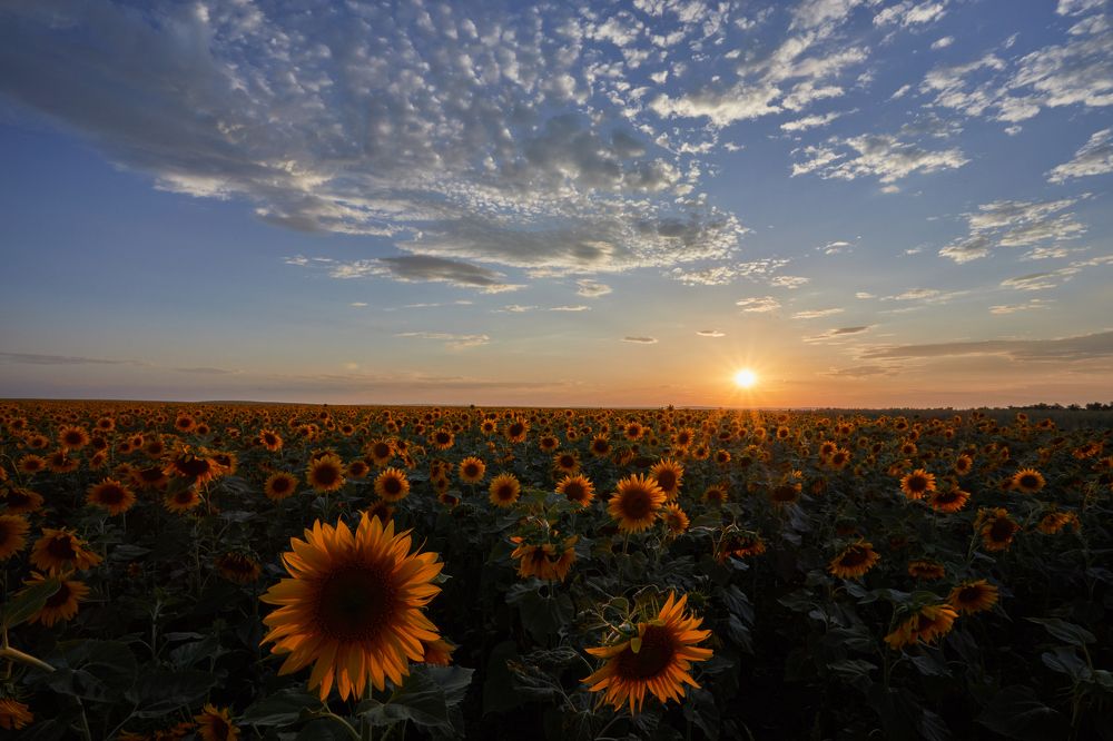 Photograph by Димтрий