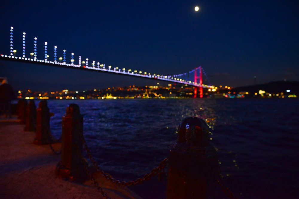 Photograph by Alyona Narcissa