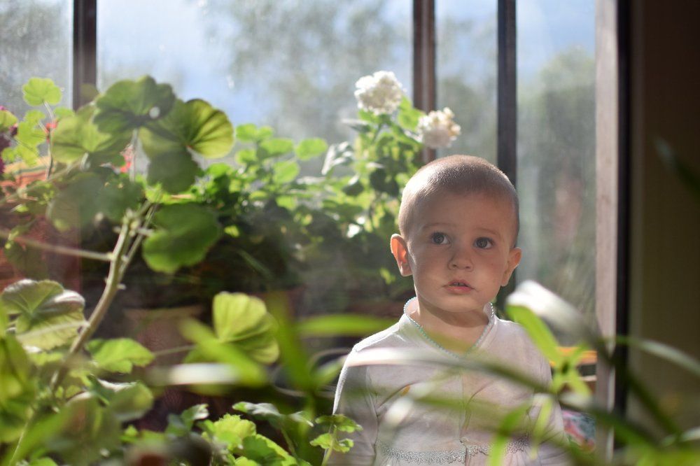 Photograph by Sergey Tolstoy