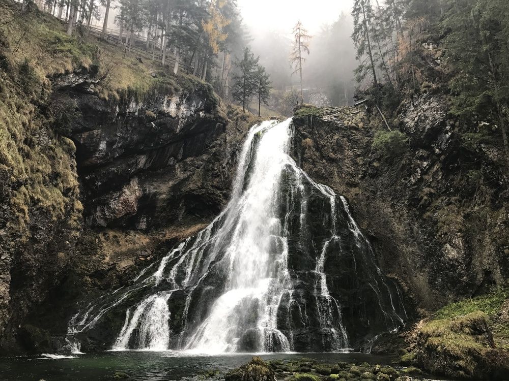 Туман в лесу. Fog in the forest