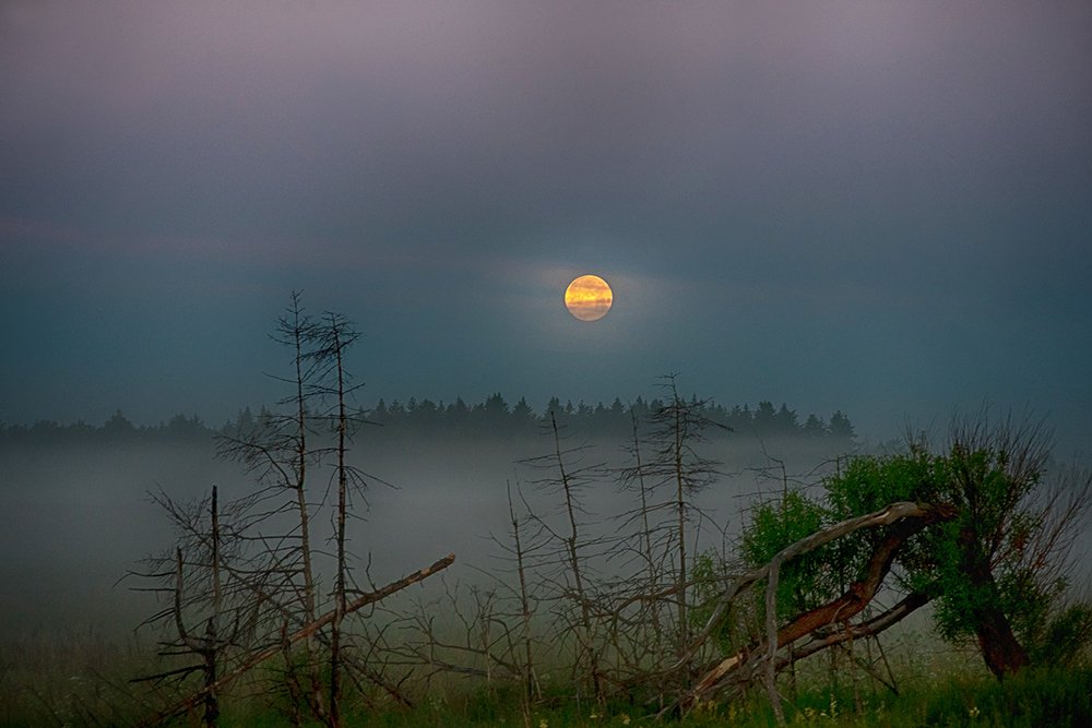 Photograph by Ирина Хромова