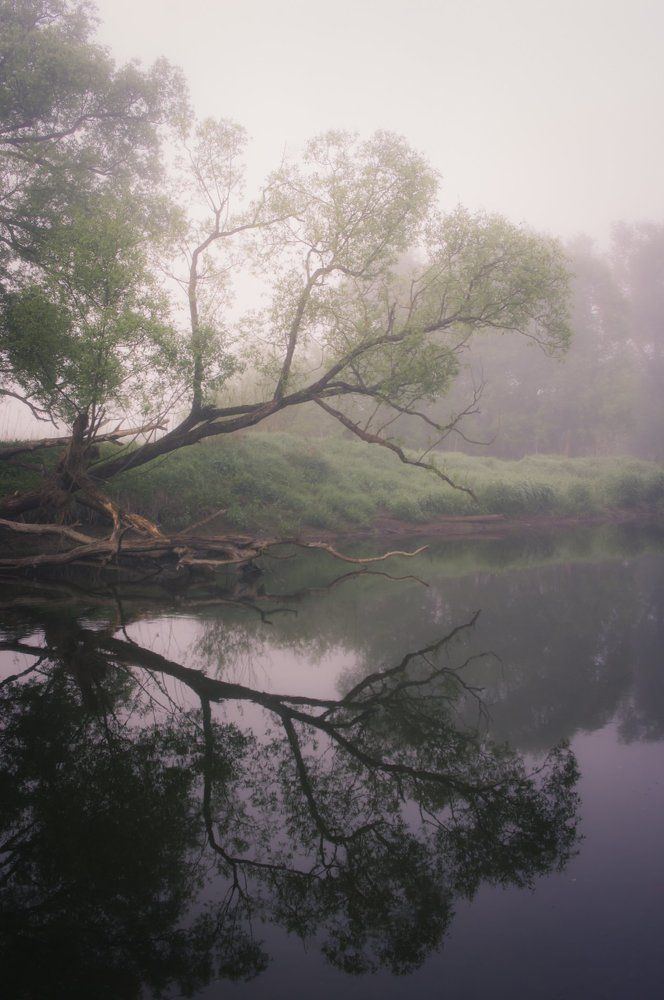 Туманное утро на р. Истра