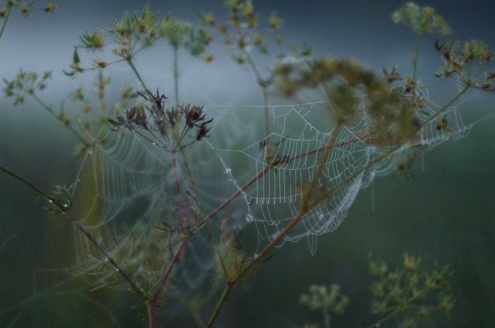 Photograph by Ирина Хромова