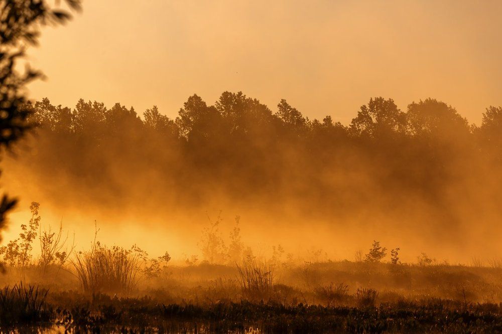 На рассвете