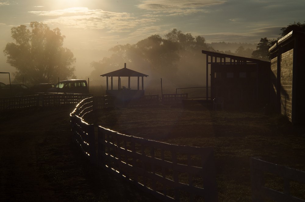 Photograph by Ирина Хромова