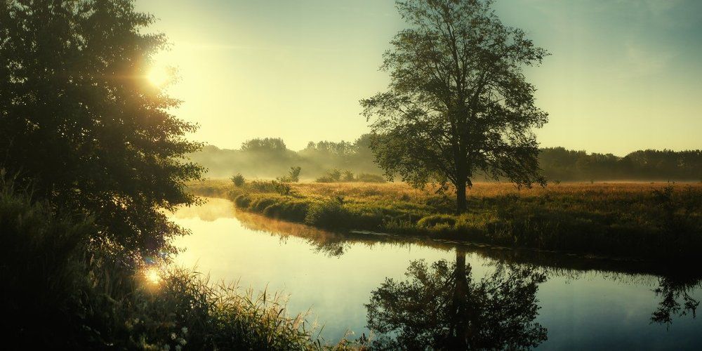 Photograph by Сергей Забиякин