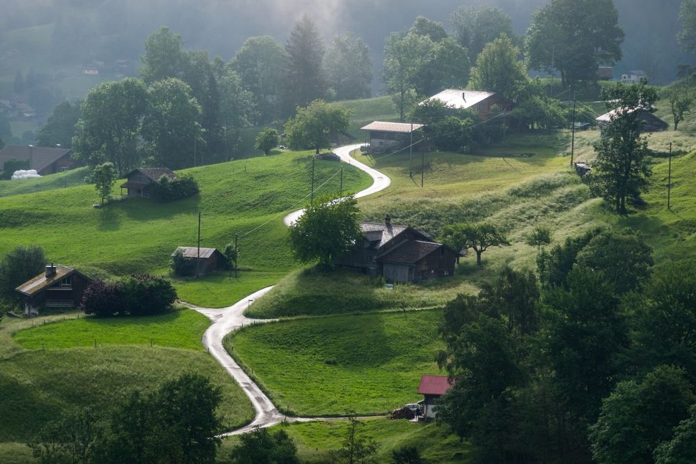 Фотография автора Андрей Симонов