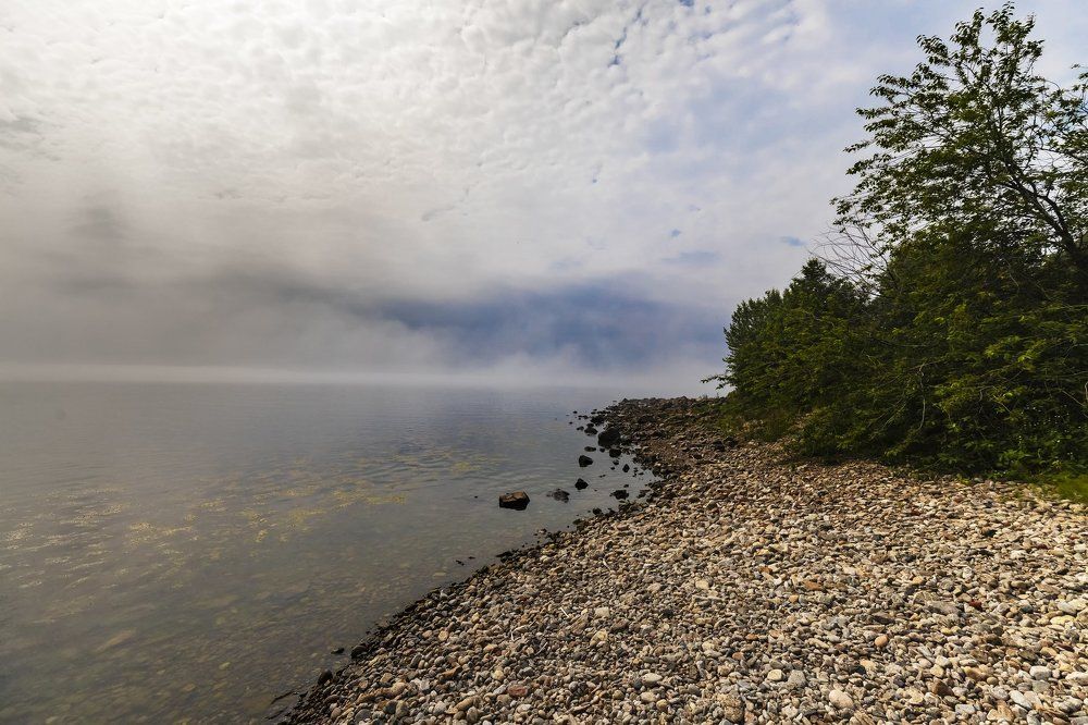 Туманное утро