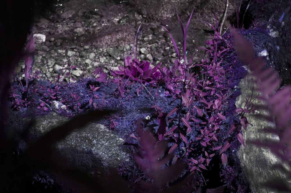 Другая планета