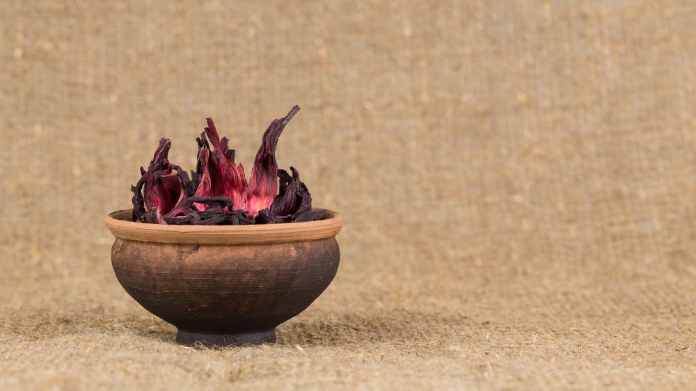 Огонь гибискуса.jpg