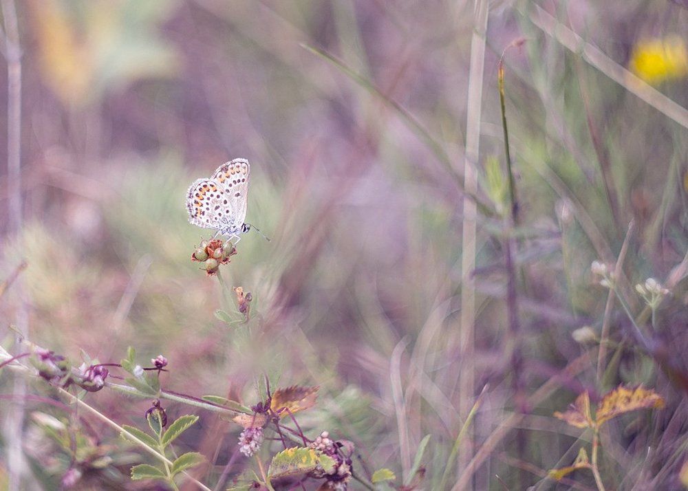 Посмотри на меня