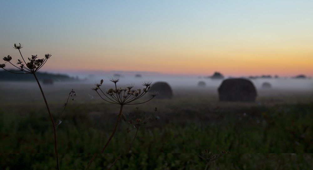 Окские туманы