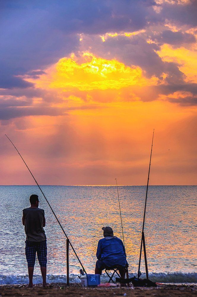 Вечерний клев