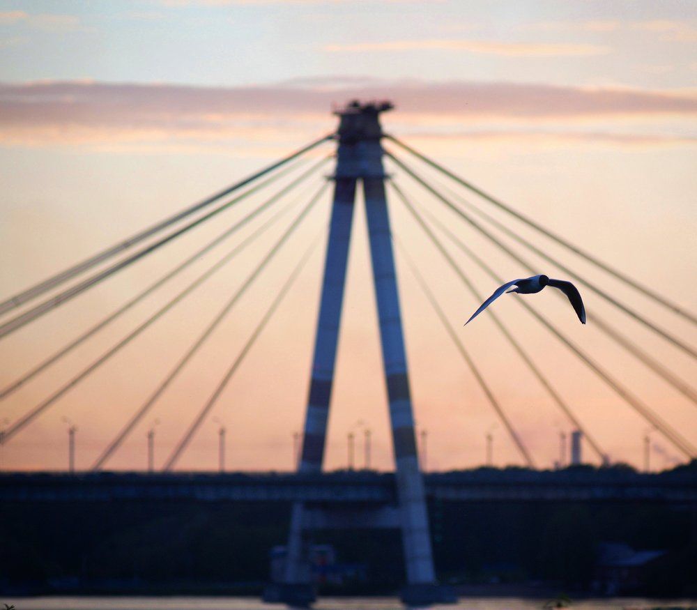 Photograph by Татьяна