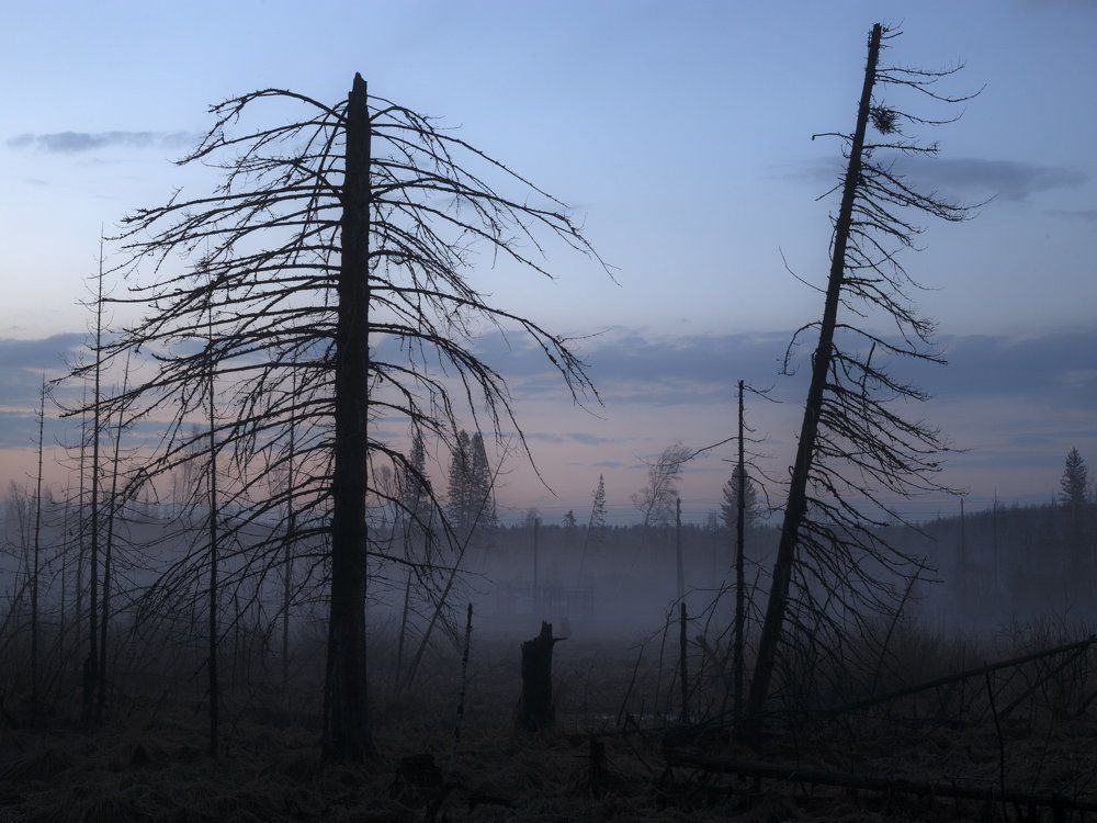 Photograph by Емельянов Саша