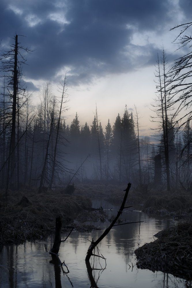 Photograph by Емельянов Саша