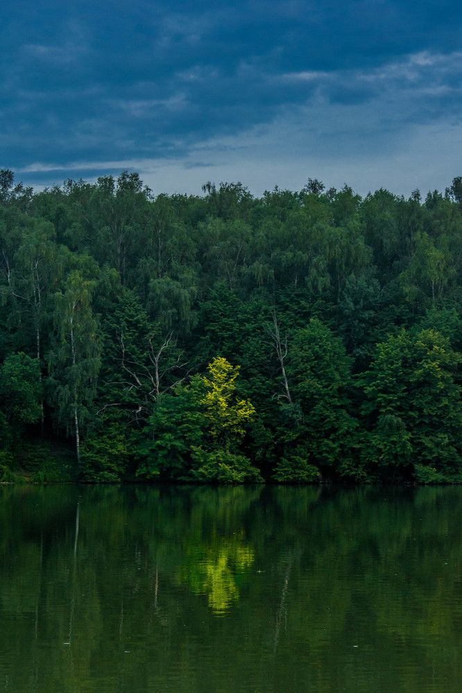 Лесное озеро