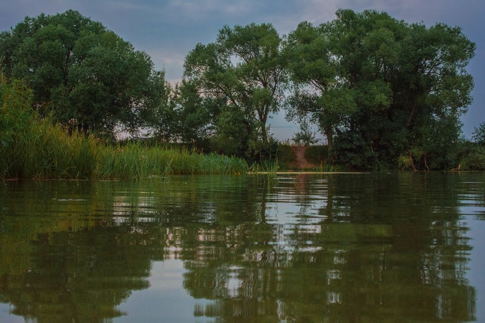 Фотография автора Сергей Сморчков
