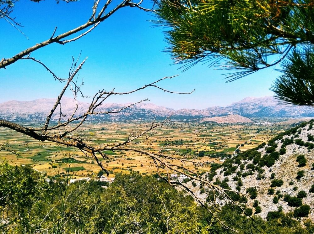 Долина света