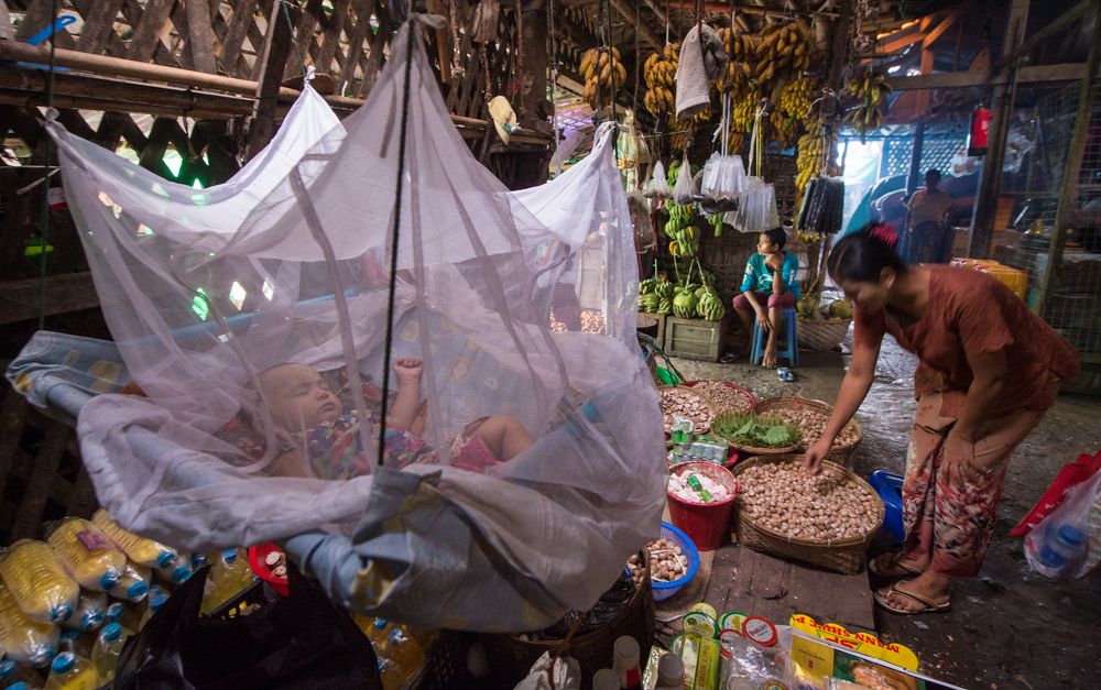 Growing up in the market