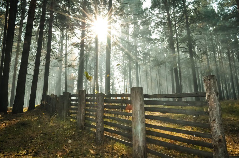 Photograph by Anastasia  Ka