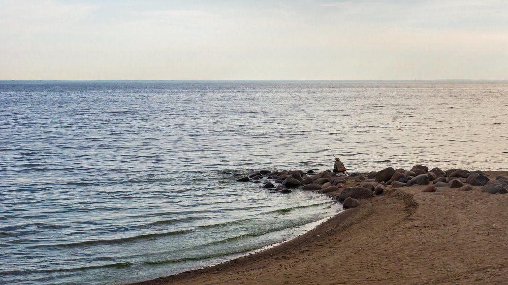 На Финском заливе