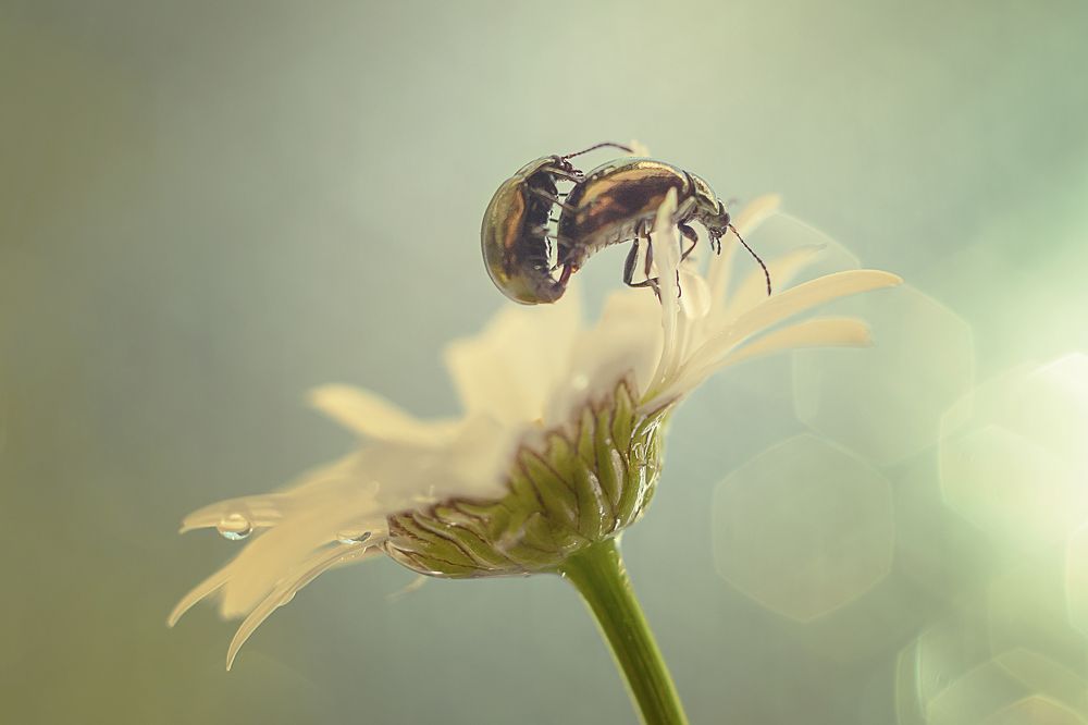 Photograph by Нурият Аллаярова