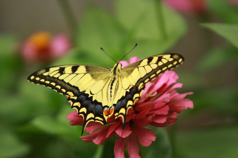 Фотография автора Marina Samarina