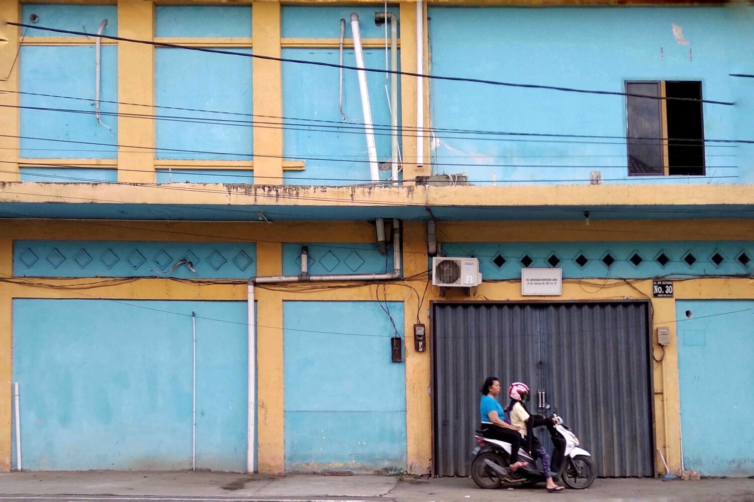color of life