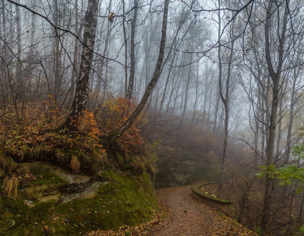 Осеннее утро