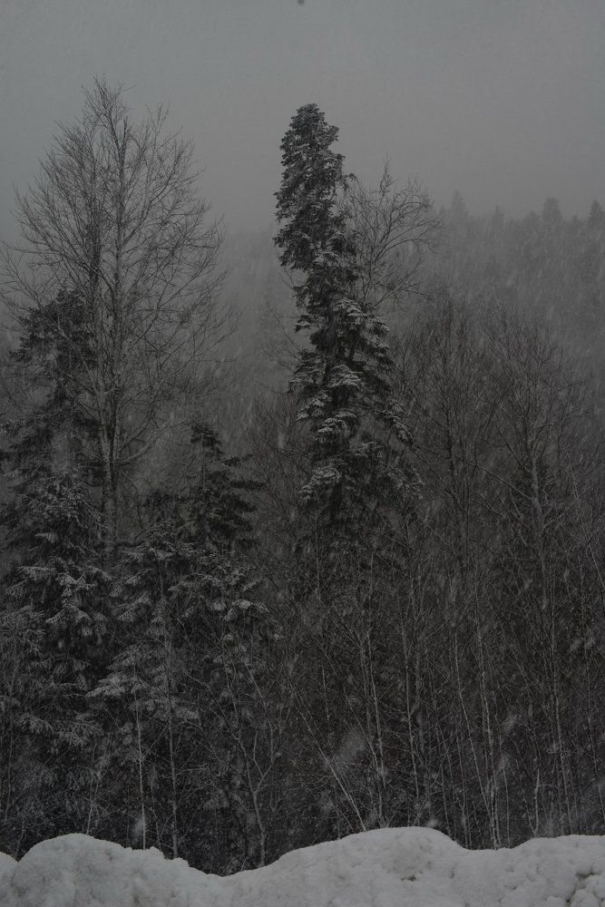 И снег, и туман