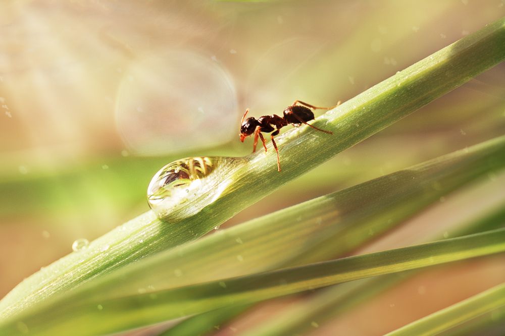 Photograph by Татьяна Шурнова