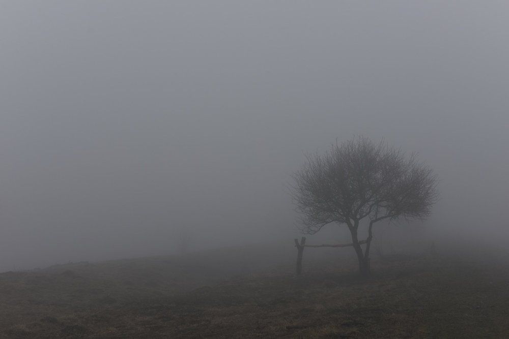 Фотография автора Медведев Сергей