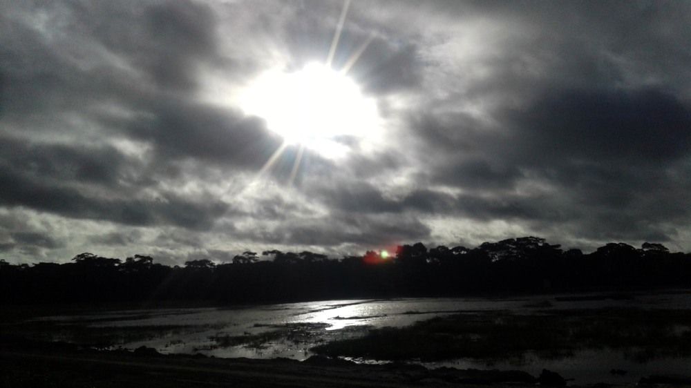 Baby Sun In morning