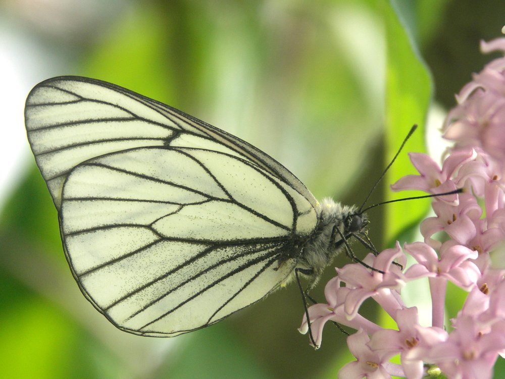 Photograph by Дмитрий