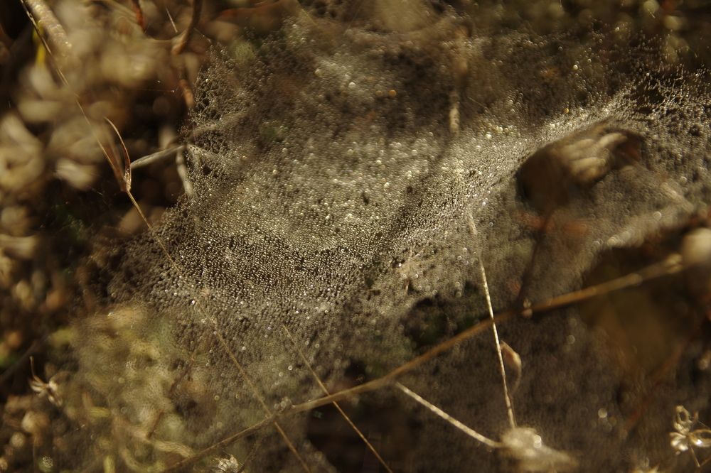 Photograph by марет