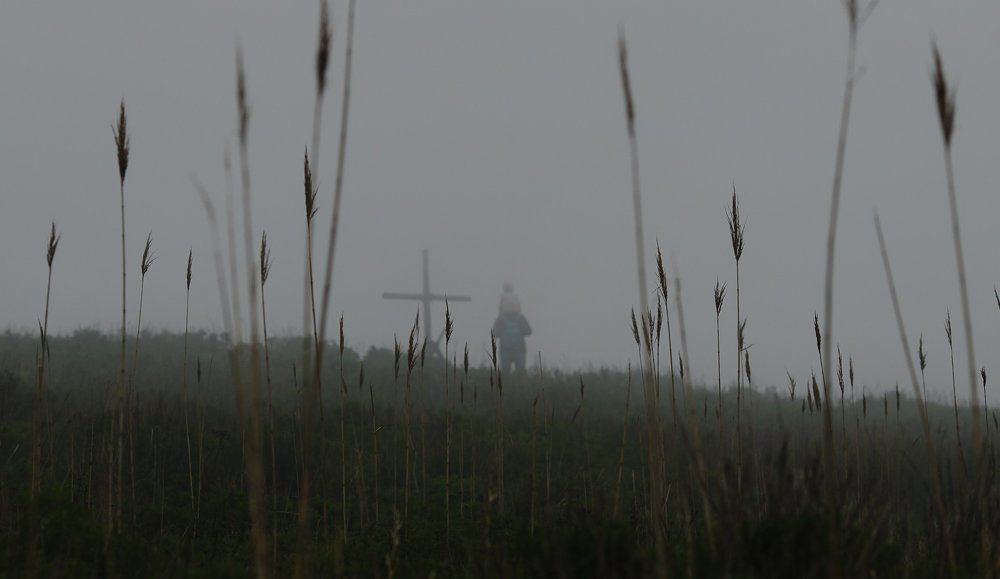 Photograph by Антонов Алексей