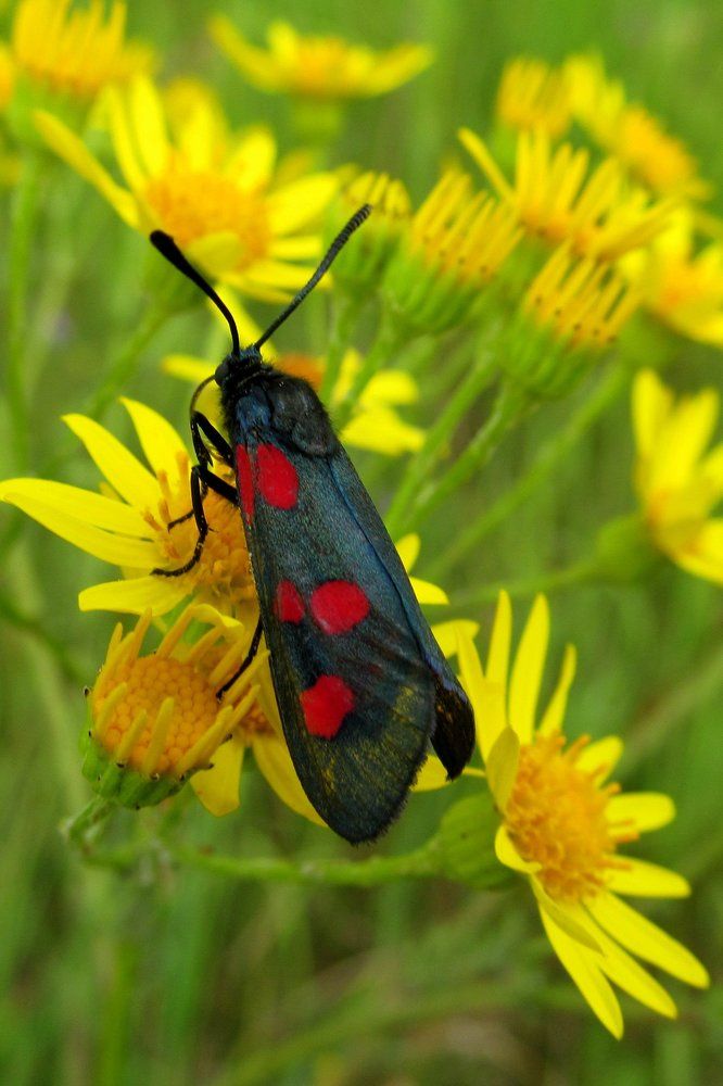 Photograph by Ольга Павлова