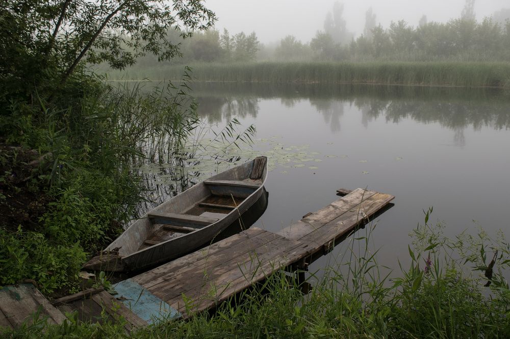 Туманная речка