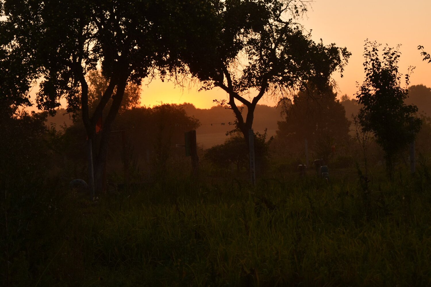 Photo #2457952