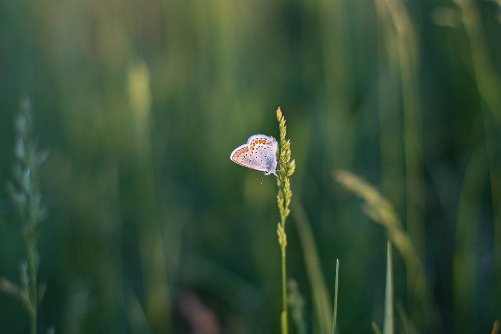 Photograph by Александр Фоменко