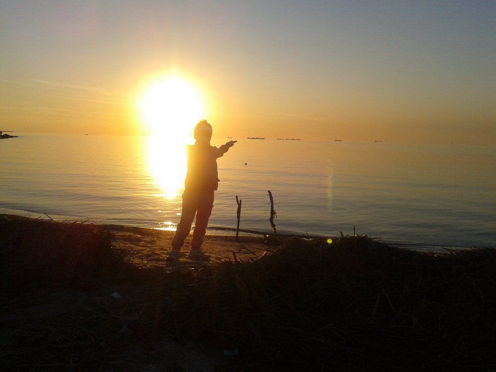 Photo #2457998